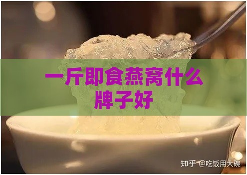 一斤即食燕窝什么牌子好