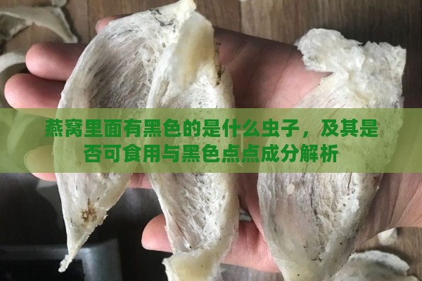 燕窝里面有黑色的是什么虫子，及其是否可食用与黑色点点成分解析