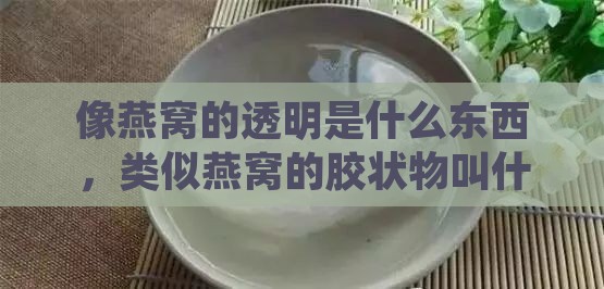 像燕窝的透明是什么东西，类似燕窝的胶状物叫什么？