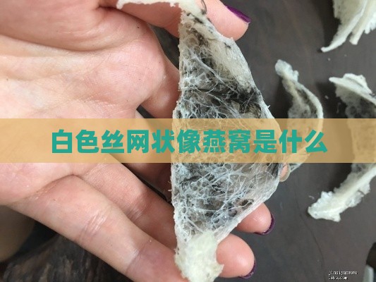 白色丝网状像燕窝是什么