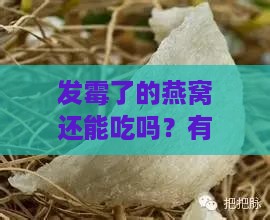 发霉了的燕窝还能吃吗？有吗，其外观特征及食用安全性分析