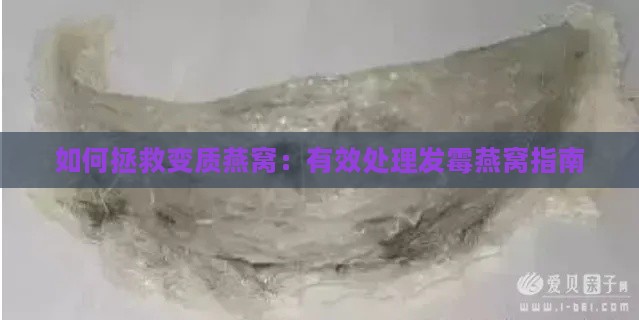 如何拯救变质燕窝：有效处理发霉燕窝指南