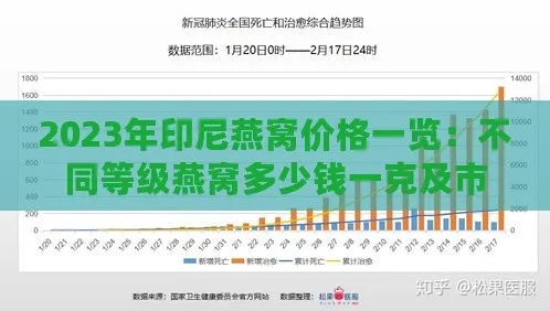 2023年印尼进口燕窝价格一览：不同品质燕窝条市场零售价及购买攻略