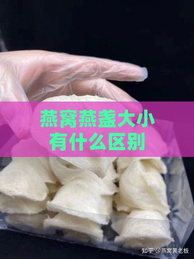 燕窝燕盏大小有什么区别