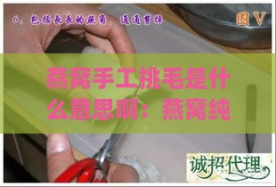 燕窝手工挑毛是什么意思啊：燕窝纯手工挑毛全过程解析与意义探究