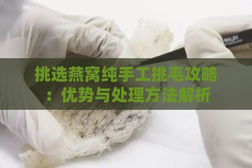 挑选燕窝纯手工挑毛攻略：优势与处理方法解析