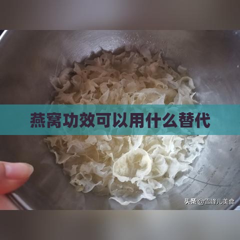 燕窝功效可以用什么替代