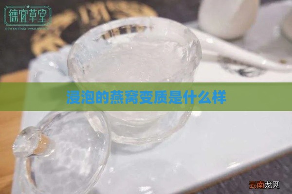 浸泡的燕窝变质是什么样