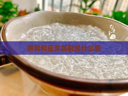 燕窝和豆浆区别是什么呢