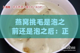 燕窝挑毛是泡之前还是泡之后：正确步骤解析与比较