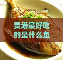 贵港更好吃的是什么鱼什么菜什么美食盘点