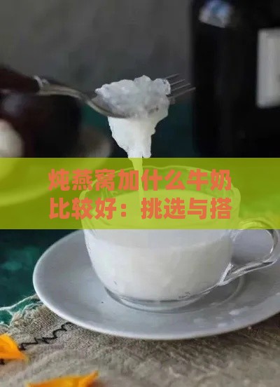 炖燕窝加什么牛奶比较好：挑选与搭配指南