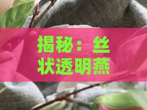 揭秘：丝状透明燕窝的独特形态与品质特征