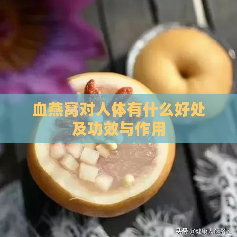 血燕窝对人体有什么好处及功效与作用