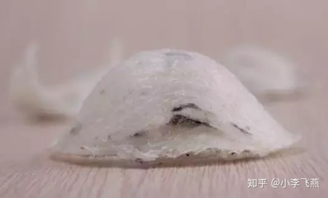 深度解析：燕窝小黑点的处理方法与食用安全性指南