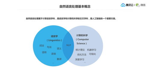 燕窝中最重要的成分是什么：主要营养成分解析