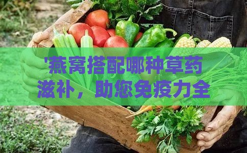 '燕窝搭配哪种草药滋补，助您免疫力全面提升'