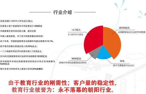 创新燕窝命名指南：涵盖各类燕窝命名灵感与市场趋势解析