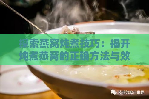 探索燕窝炖煮技巧：揭开炖煮燕窝的正确方法与效果