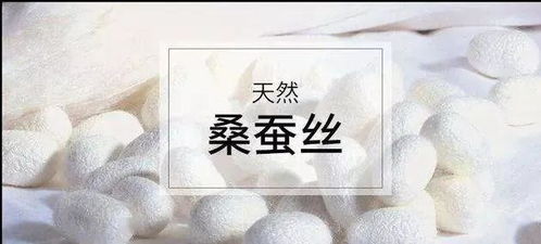 热干燕窝面料是什么成分及其组成成分解析