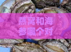 燕窝和海参哪个对身体比较好：营养价值与保健功效对比分析