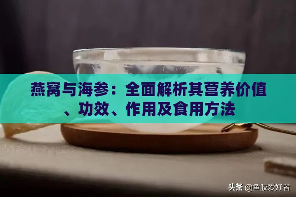 燕窝与海参：全面解析其营养价值、功效、作用及食用方法