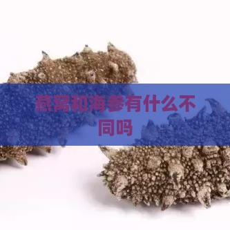 燕窝和海参有什么不同吗