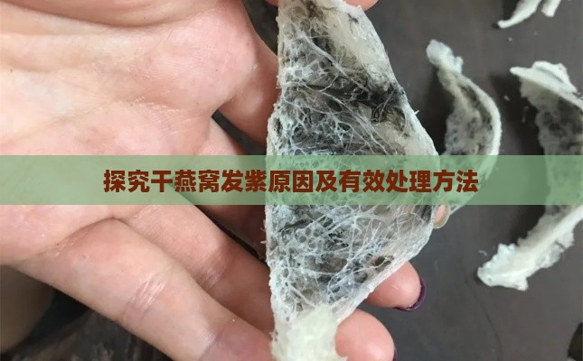 探究干燕窝发紫原因及有效处理方法