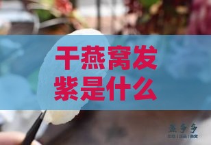 干燕窝发紫是什么原因呢