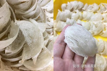 女性挑选燕窝颜色指南：干挑燕窝哪种颜色更美观与营养均衡