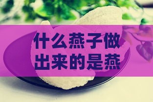 什么燕子做出来的是燕窝的味道：揭秘燕窝独特风味的秘密