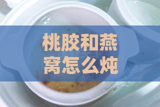 桃胶和燕窝怎么炖出更佳口感与炖制窍门