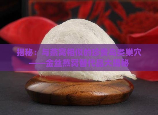 揭秘：与燕窝相似的珍贵鸟类巢穴——金丝燕窝替代品大揭秘