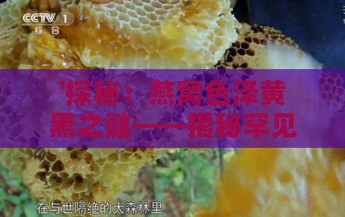 '探秘：燕窝色泽黄黑之谜——揭秘罕见黑黄燕窝品种特点'