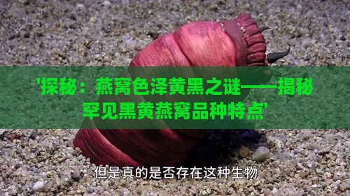 '探秘：燕窝色泽黄黑之谜——揭秘罕见黑黄燕窝品种特点'