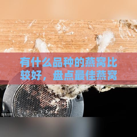 有什么品种的燕窝比较好，盘点更佳燕窝品种选择。