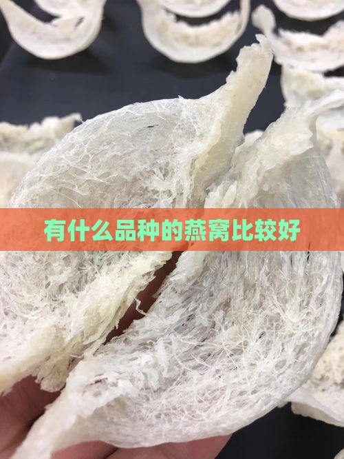 有什么品种的燕窝比较好