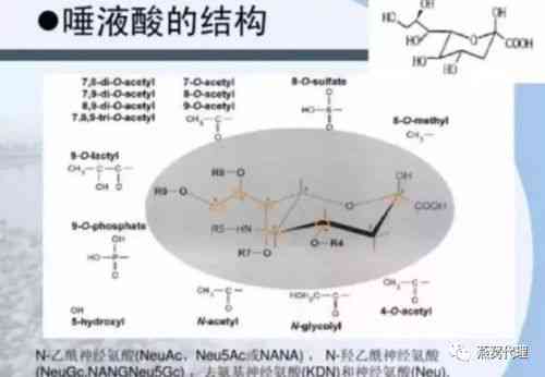 燕窝中唾液酸含量达到多少百分比方为优质标准