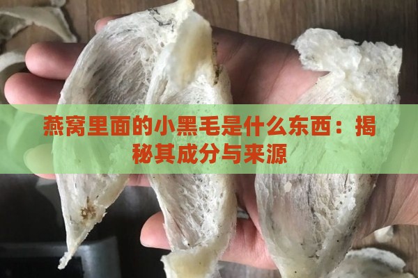 燕窝里面的小黑毛是什么东西：揭秘其成分与来源