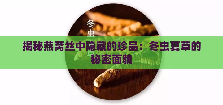 揭秘燕窝丝中隐藏的珍品：冬虫夏草的秘密面貌