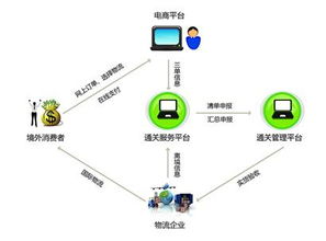 全面解析燕窝生产模式：从采集到销售的全流程解读