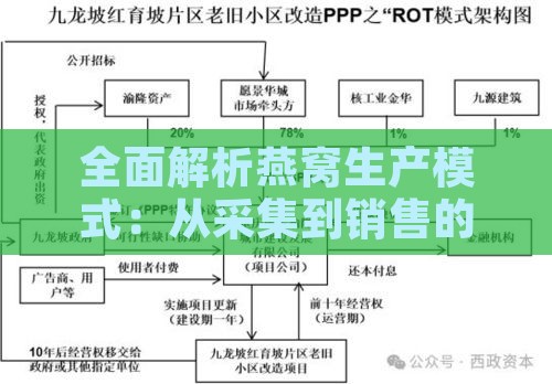 全面解析燕窝生产模式：从采集到销售的全流程解读