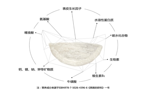 探究燕窝的脂肪含量及其对健康的影响