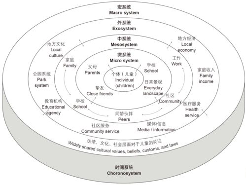 '探究燕窝品质优劣：关键因素分析及其影响'