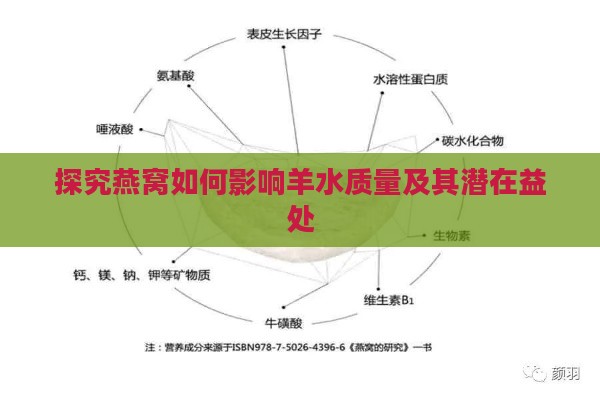 探究燕窝如何影响羊水质量及其潜在益处