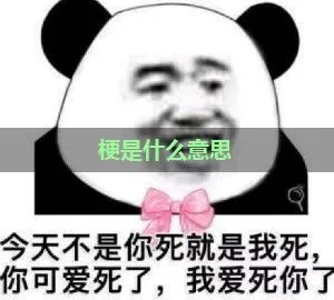 燕窝这个梗是什么意思：网络用语解析及污含义揭秘