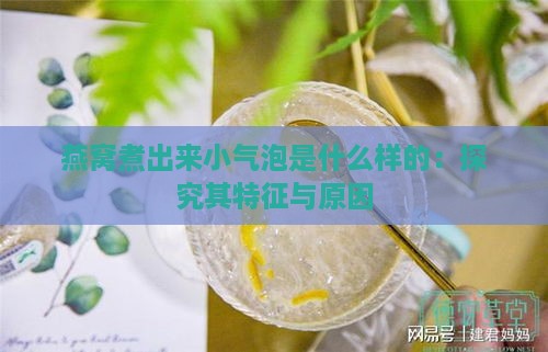 燕窝煮出来小气泡是什么样的：探究其特征与原因