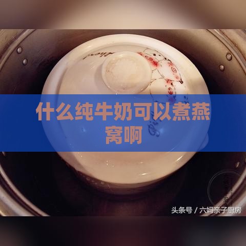 什么纯牛奶可以煮燕窝啊