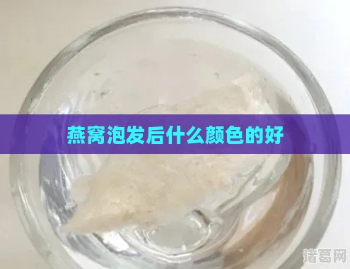 燕窝泡发后什么颜色的好