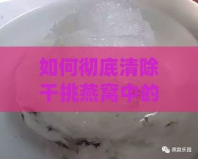 如何彻底清除干挑燕窝中的细小毛发及杂质：全方位处理与清洁攻略